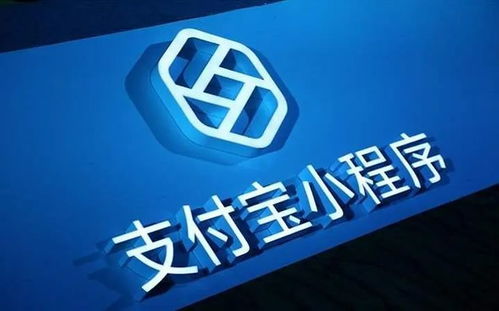 擴(kuò)散｜泰達(dá)司機(jī)們，支付寶也能交罰款了！最全攻略與信息咨詢服務(wù)
